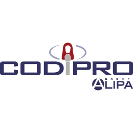 Logo Codipro